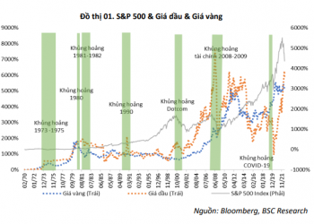 Giá dầu suy giảm, nhóm ngành nào ít chịu ảnh hưởng và có thể tăng mạnh nhất? - Ảnh 1.