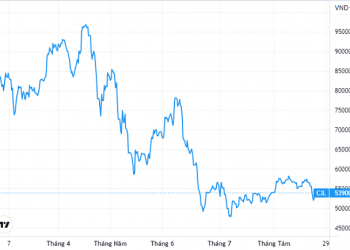 Gilimex chốt quyền trả cổ tức cổ phiếu tỷ lệ 15% - Ảnh 1.