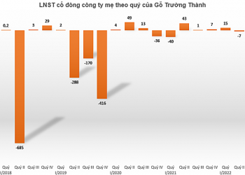 Gỗ Trường Thành lỗ quý II sau 4 quý lãi liên tiếp - Ảnh 1.