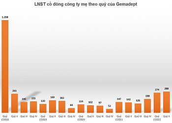 Hoạt động khai thác cảng và logistics tăng trưởng, Gemadept lãi quý II cao nhất 4 năm - Ảnh 1.