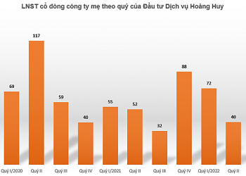 Hoạt động mua bán xe gặp khó, Đầu tư Dịch vụ Hoàng Huy báo lãi ròng quý II giảm 23% - Ảnh 1.