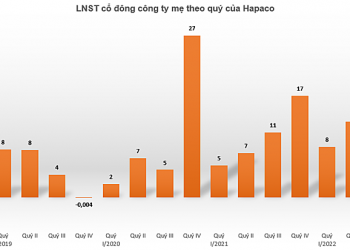 Hợp nhất Bệnh viện Quốc tế Green, Hapaco báo lãi ròng quý II tăng 72% - Ảnh 1.