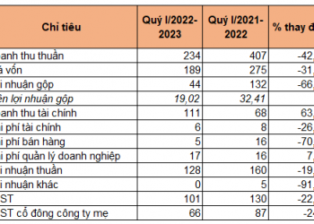 Hụt thu mảng ôtô, TCH báo lãi quý đầu năm tài chính 2022 giảm 24% - Ảnh 1.