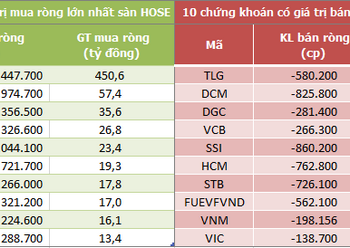 Khối ngoại đẩy mạnh mua ròng 530 tỷ đồng trên HoSE trong phiên 16/8, HPG là tâm điểm - Ảnh 1.