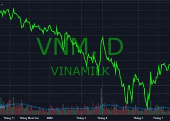 Khối ngoại liên tục mua ròng mạnh, cổ phiếu Vinamilk (VNM) có gì hấp dẫn? - Ảnh 1.