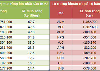 Khối ngoại tiếp tục mua ròng hơn 70 tỷ đồng trong phiên 11/8, VNM và VCI bị bán mạnh - Ảnh 1.