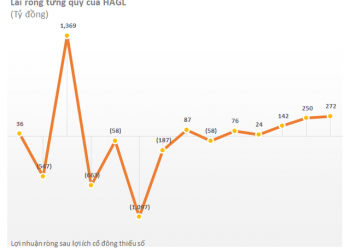 Không hẳn trồng chuối hay nuôi heo, đây mới là nhân tố chính giúp HAGL lãi to - Ảnh 1.