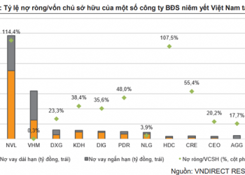 VNDirect: Không thấy rủi ro vỡ nợ của các công ty BĐS niêm yết trong ít nhất một năm tới - Ảnh 1.