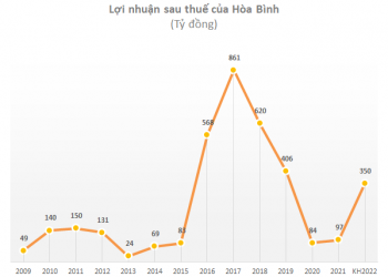 Lãi mới chỉ trăm tỷ đồng/năm, Xây dựng Hòa Bình (HBC) xin cổ đông thưởng 10% cho ban lãnh đạo nếu đạt 1 tỷ USD lợi nhuận năm 2032 - Ảnh 1.