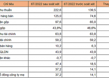 Lãi ròng bán niên của LDG tăng 23 tỷ đồng sau soát xét - Ảnh 1.