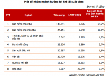 Lãi suất có xu hướng tăng, nhóm ngành nào chịu áp lực lớn nhất? - Ảnh 1.