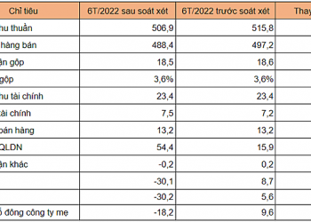 Lợi nhuận của Louis Capital chuyển từ lãi sang lỗ sau soát xét - Ảnh 1.
