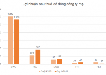 Lợi nhuận doanh nghiệp bán lẻ quý II giảm tốc, triển vọng quý III tăng trưởng do nền thấp cùng kỳ - Ảnh 1.