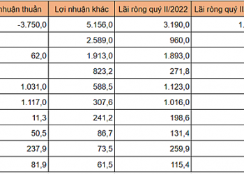 Lợi nhuận khác giúp nhiều doanh nghiệp báo lãi khủng trong quý II - Ảnh 1.