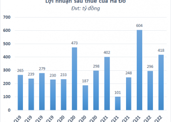 Mảng năng lượng đóng góp lớn, Hà Đô (HDG) báo lãi quý 2 gấp 5 lần cùng kỳ - Ảnh 1.