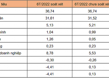 Maserco chuyển từ lãi sang lỗ, nhận ý kiến ngoại trừ của kiếm toán sau soát xét - Ảnh 1.