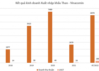 Một cổ phiếu tăng trần 8 phiên liên tiếp - Ảnh 1.