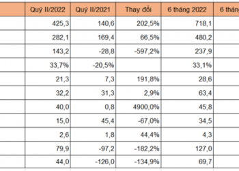 Người mua trả tiền trước của Tập đoàn C.E.O tăng 140% - Ảnh 1.