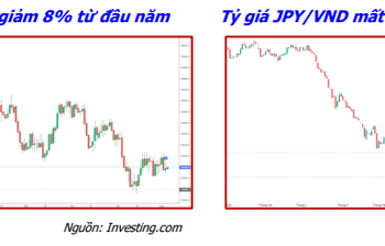 Nhiều doanh nghiệp có thể hưởng lợi lớn trong môi trường tỷ giá biến động - Ảnh 1.