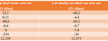 Nhiều doanh nghiệp đổi màu lỗ, lãi sau soát xét - Ảnh 1.