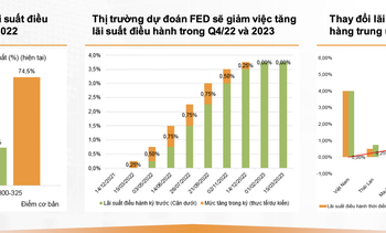 VNDirect: Nhiều động lực hỗ trợ tích cực cho thị trường chứng khoán Việt Nam trong tháng 9 - Ảnh 2.