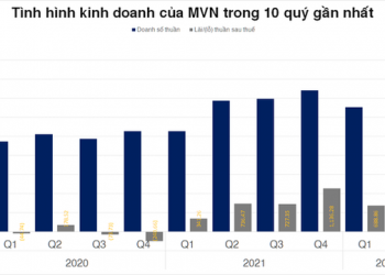 Nhóm Cảng biển, Vận tải biển và Phụ trợ Logistics đứng trước cơ hội phá kỷ lục của năm 2021 - Ảnh 1.