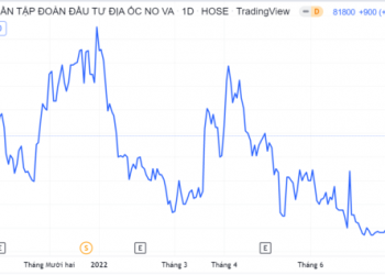 Novaland sẽ phát hành gần 478 triệu cổ phiếu theo tỷ lệ 24,5% - Ảnh 1.