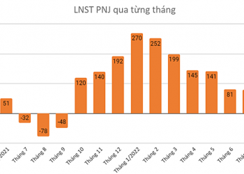 PNJ báo lãi 7 tháng tăng 66% so với cùng kỳ - Ảnh 1.