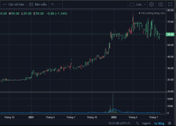 PTI đã giúp VNDirect phất lên như thế… - Ảnh 1.