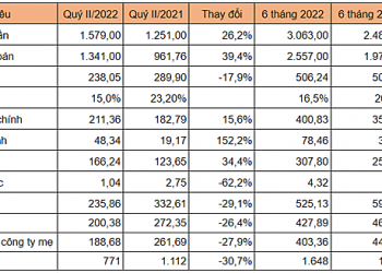 PVI báo lãi ròng quý II giảm 28% so với cùng kỳ - Ảnh 1.