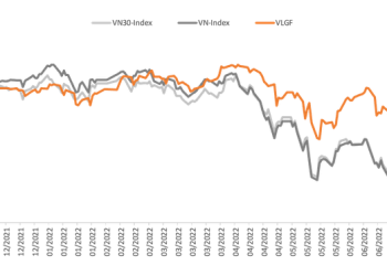 Quỹ VLGF có hiệu suất đầu tư tốt nhất khi thị trường giảm mạnh - Ảnh 1.