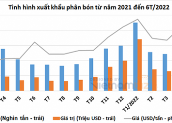 Rủi ro đầu tư cổ phiếu ngành phân bón - Ảnh 1.