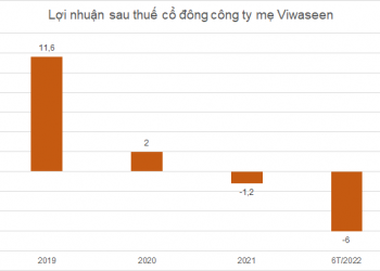 SCIC đấu giá 98% vốn Viwaseen với mức tối thiểu 1.349 tỷ đồng - Ảnh 1.