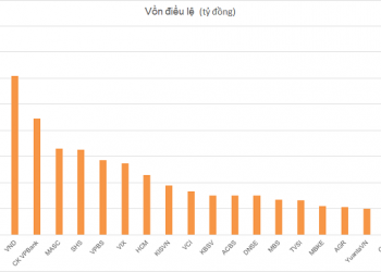 SSI hoàn tất phát hành tăng vốn điều lệ lên hơn 14.900 tỷ đồng - Ảnh 1.