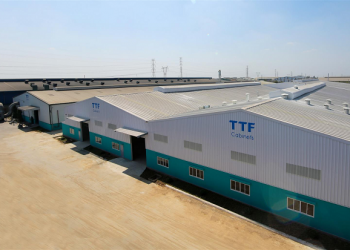 Sau 4 năm, Gỗ Trường Thành không còn bị kiểm toán nghi ngờ khả năng hoạt động liên tục - Ảnh 1.