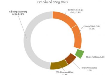 Sau nhiều đồn đoán, Nutifood chính thức xuất hiện tại cuộc đua thâu tóm Vinasoy - Ảnh 1.