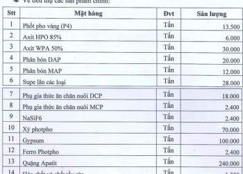 Sau quý 2 lãi đột biến, Hoá chất Đức Giang (DGC) lên kế hoạch lợi nhuận quý 3 cao gấp 2,6 lần cùng kỳ - Ảnh 1.
