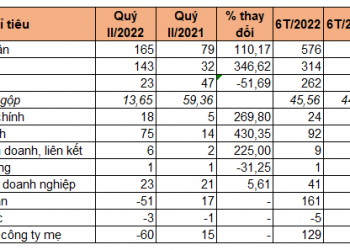 Sau quý đầu năm lãi kỷ lục, Saigontel báo lỗ 60 tỷ đồng quý II - Ảnh 1.