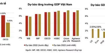 Agriseco Research: Tăng trưởng kinh tế là trụ đỡ cho chứng khoán Việt Nam trong thời gian tới - Ảnh 1.