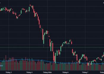 Thanh khoản có dấu hiệu tăng trở lại, chứng khoán Việt Nam lên cao nhất trong vòng 2 tháng - Ảnh 1.