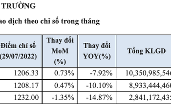 Thanh khoản sàn HoSE tiếp tục hạ nhiệt trong tháng 7/2022, câu lạc bộ vốn hoá 10 tỷ USD chỉ còn 3 đơn vị VIC, VHM và VCB - Ảnh 1.