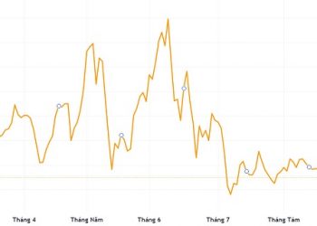 Thêm cổ đông lớn bán toàn bộ hơn 8,27 triệu cổ phiếu Viconship - Ảnh 1.