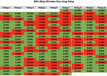 Thị trường chứng khoán Việt Nam thường biến động ra sao trong các tháng 8? - Ảnh 1.