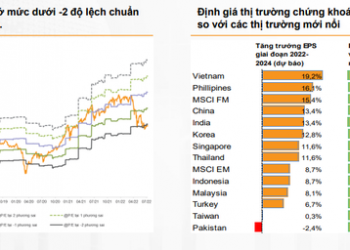Thị trường chứng khoán chờ đợi điều gì trong tháng 8? - Ảnh 1.