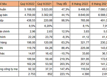 Thiếu chip - khan xe, Savico báo lãi kỷ lục - Ảnh 1.