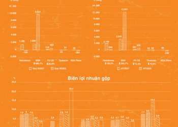 Trái chiều lợi nhuận doanh nghiệp sản xuất và kinh doanh xăng dầu quý II - Ảnh 1.