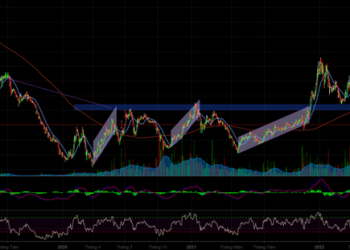 Trước khi tin đồn Lego thành hiện thực, cổ phiếu CTD đã tăng hơn 13% trong 1 tuần - Ảnh 1.