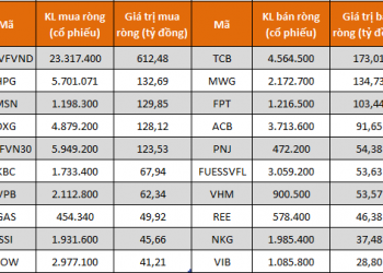 Tự doanh CTCK đẩy mạnh mua ròng 669 tỷ đồng trong tuần 1-5/8 - Ảnh 1.