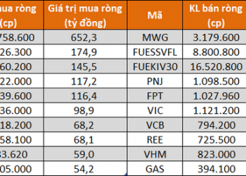 Tự doanh CTCK mua ròng khớp lệnh gần 1.100 tỷ đồng ở sàn HoSE trong tháng 7 - Ảnh 1.