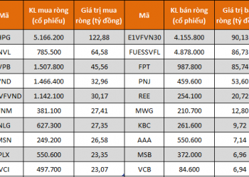 Tự doanh CTCK nối dài chuỗi tuần mua ròng trên HoSE - Ảnh 1.